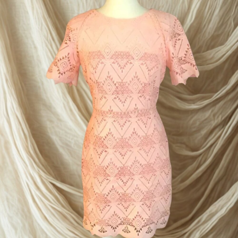NWT Style Stalker Salmon Dress